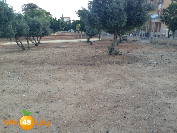 ardjabalaya520 (6).JPG